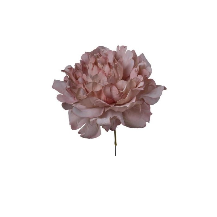 PICK PEONIA ROSA ANTICO 13X13X16